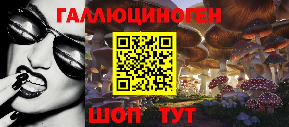 Галлюциногенные грибы Cubensis Ржев